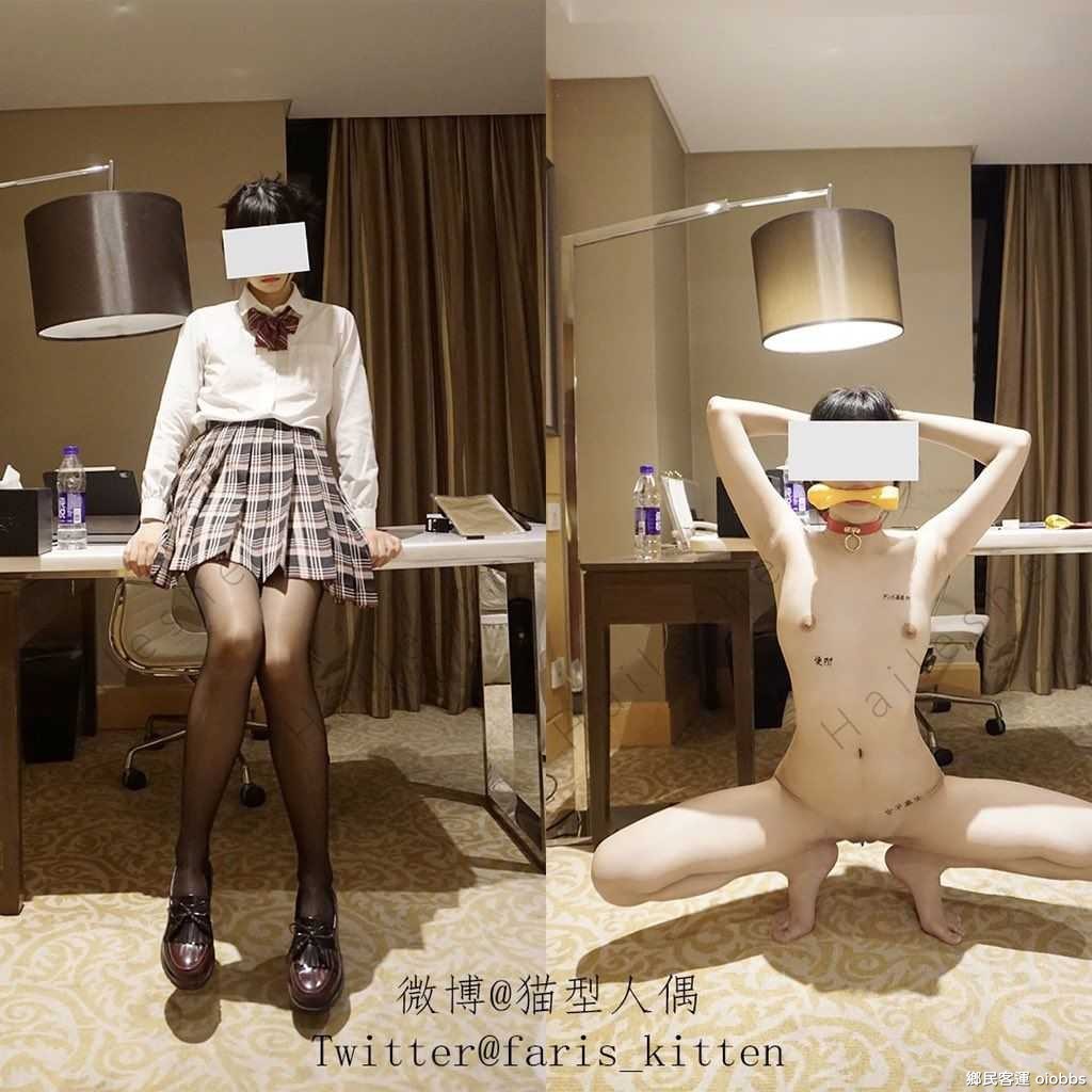 fariskitten 下. fariskitten 压. fariskitten 地. fariskitten 密. fariskitten 影...