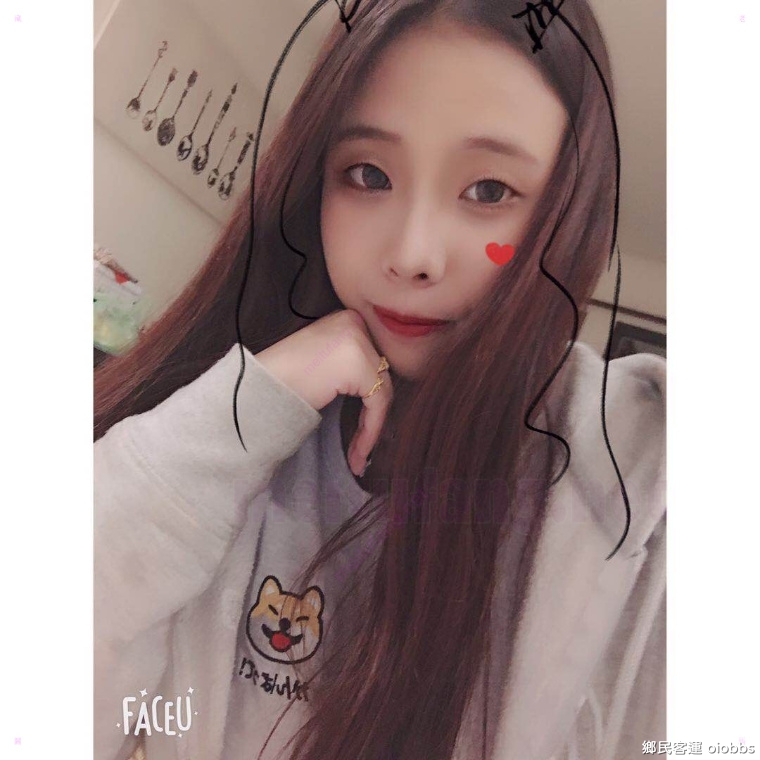 TWZP 954【60P/1V/49MB】