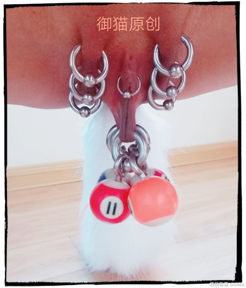 加油到5000發個昨天丫頭自己在家日常訓練的圖鼓勵一下slave_1132911942606106624_0.jpg